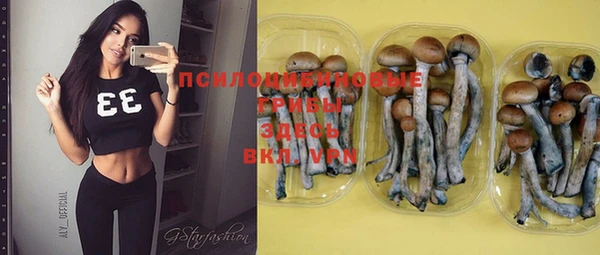 крисы Осташков