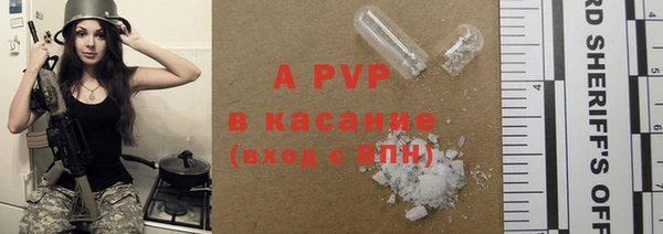 амф Пересвет