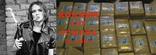крисы Осташков