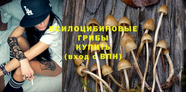 крисы Осташков