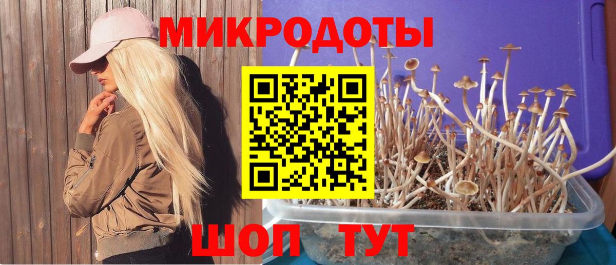 Галлюциногенные грибы ЛСД  Вход с VPN  где купить наркоту  Крымск 
